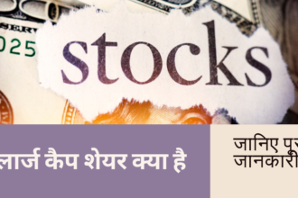लार्ज कैप शेयर क्या है / Large Cap Stocks Full Details In Hindi